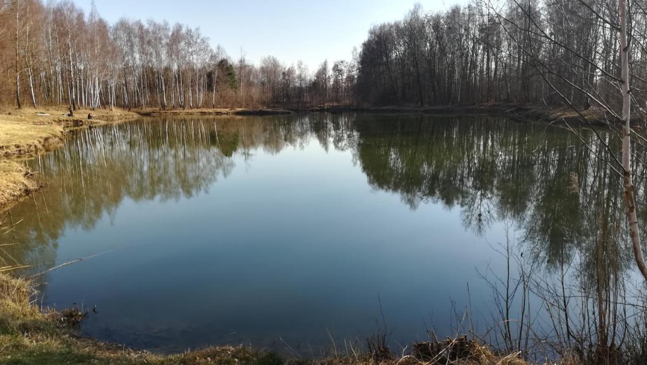 Agroturystyka Kameralna93 Ochaby Luaran gambar